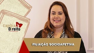 Explica Direito Filiação Socioafetiva  2019 [upl. by Spevek]