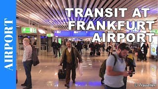 TRANSIT WALK AT FRANKFURT Airport FRA Terminal 1  Connection Flight Transfer Arriving amp Departing [upl. by Kcorb594]